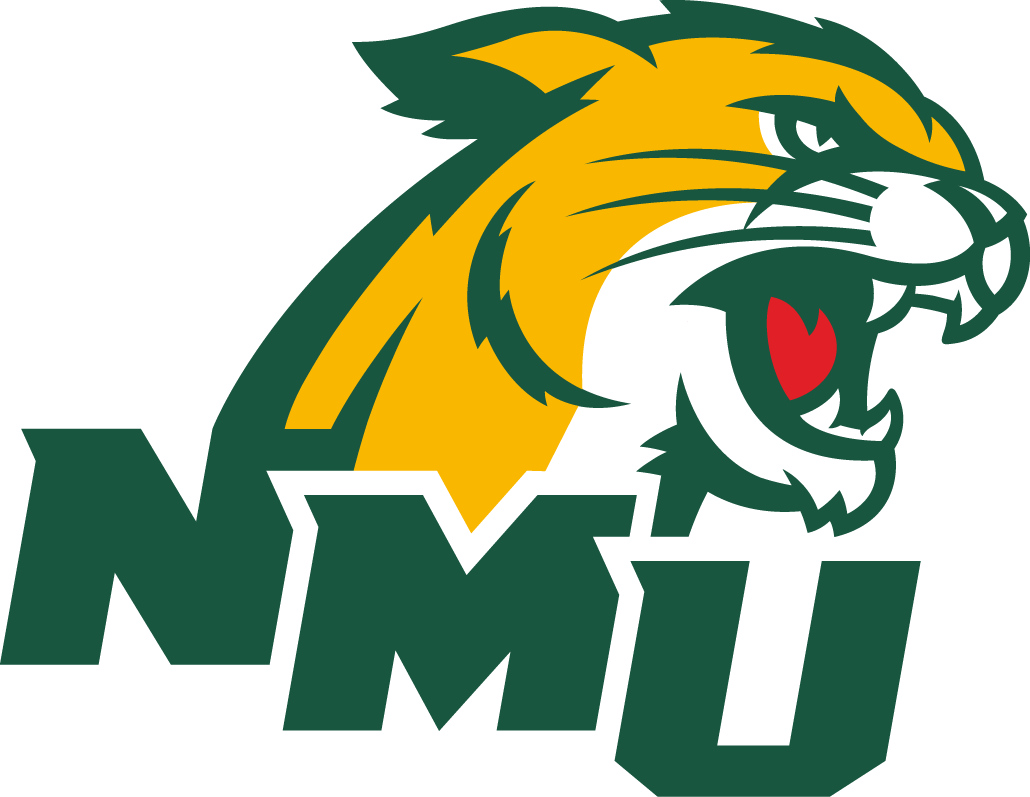 Northern Michigan Wildcats 2016-Pres Secondary Logo v2 iron on transfers for T-shirts